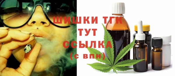 шишки Арсеньев
