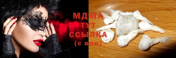 шишки Арсеньев