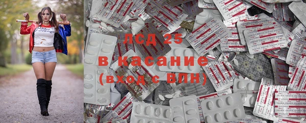 шишки Арсеньев