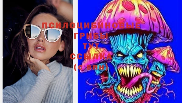 шишки Арсеньев