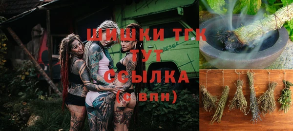 шишки Арсеньев