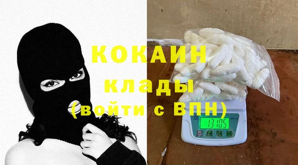шишки Арсеньев