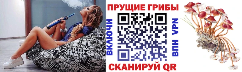 OMG как зайти наркотики Ликино-Дулёво Галлюциногенные грибы ЛСД